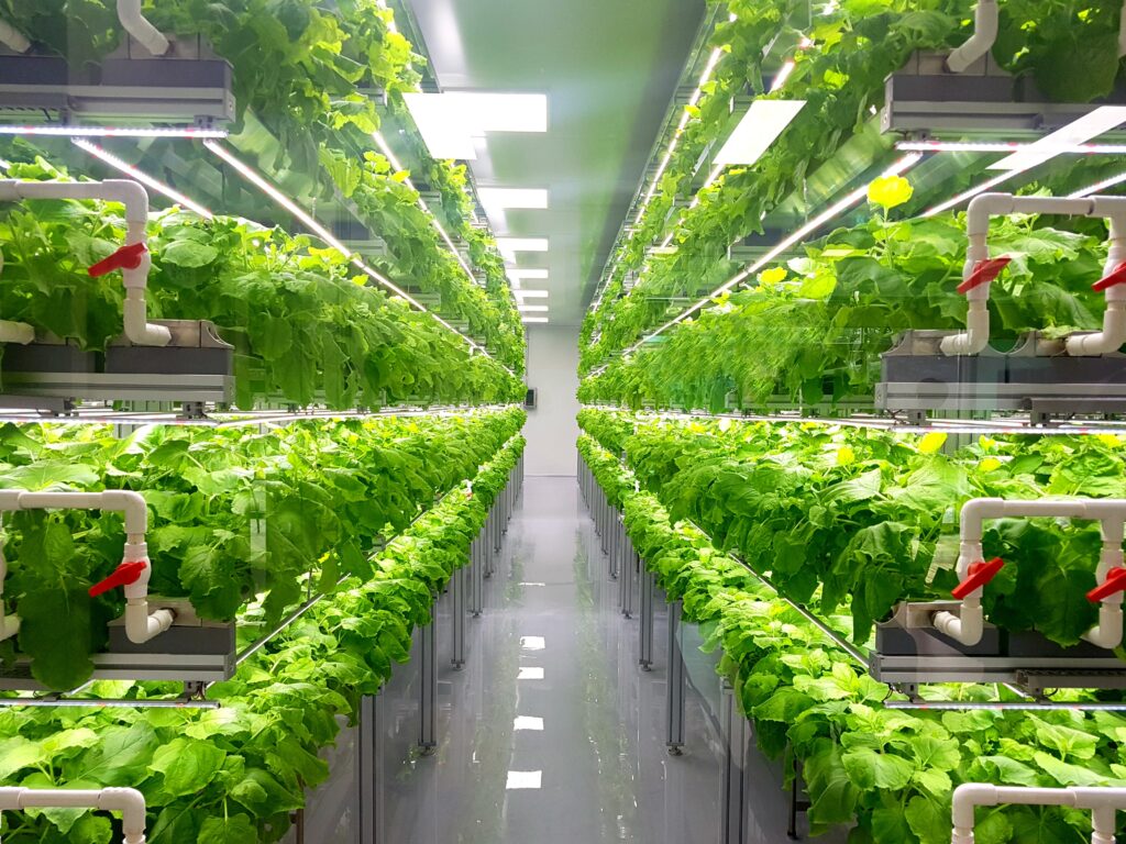 Sustainable Indoor Farming - Control Union Global